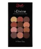 I Divine Eyeshadow Palette A New Day 430