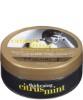 Thickening Citrus Mint Texturizing Paste