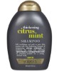 Thickening Citrus Mint Shampoo For Men