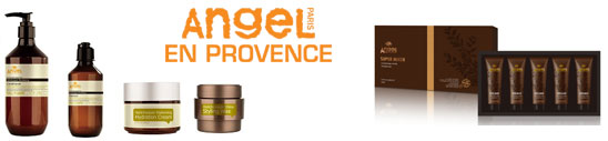 Angel En Provence