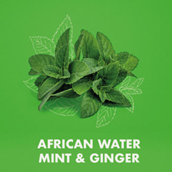 Shea Moisture African Water Mint Ginger