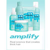amplify