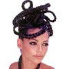 Braids and Twists