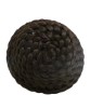 Dome Bun 12