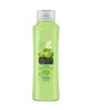 Juicy Green Apple Refreshing Shampoo