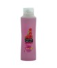 Sunkissed Raspberry Moisturising Shampoo 
