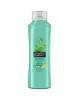 Tea Tree Tingle Invigorating Shampoo 
