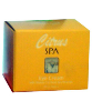 Citrus Spa Eye Cream