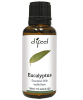 Eucalyptus Essential Oil 