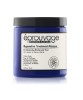 Reparative Treatment Masque