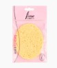 Imitation Sea Sponge S201