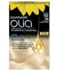 Permanent Hair Color 110 Super Light Natural Blonde
