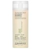 Tea Tree Triple Treat Invigorating Shampoo