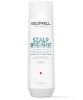 Dualsenses Scalp Specialist Anti Dandruff Shampoo
