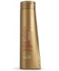 Color Therapy Shampoo