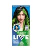 Ultra Bright Semi Permanent Vivid Green 024