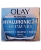 Regenerist Hyaluronic 24 Plus Vitamin B5 Day Gel