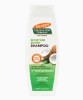 Moisture Boost Shampoo