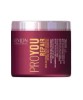 Pro You Repair Color Protecting Treatment