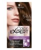 Color Expert Permanent Hair Color 5 65 Chestnut Brown
