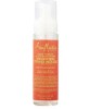Fruit Fusion Coconut Water Weightless Styling Mousse