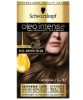 No Ammonia Permanent Colour Light Brown 5 10