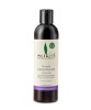 Protein Conditioner
