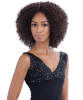 Lace Front Syn Flemmie Wig
