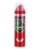 Lasting Legend 48H Deodorant Spray