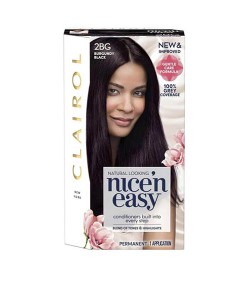 Nice N Easy Permanent Hair Color 2BG Burgundy Black