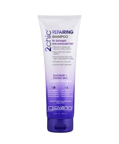 2 Chic Repairing Shampoo